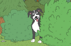 Mr. Pickles, the Evil Border Collie, Hails Satan This April - Bloody  Disgusting