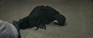 Quinn lies on the floor.