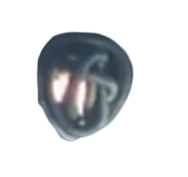 One of the strange lamps that illuminate the Vylock.