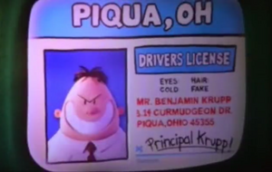 Mr. Krupp's evil drivers license.