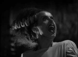 The Bride of Frankenstein.