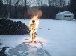Joel sees Rose burning again