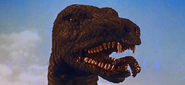 roars