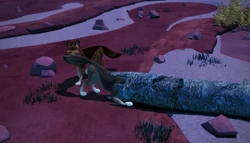 Widco helping Maslika