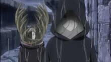 Tobi and Zetsu