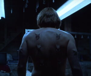 Carl's piercings.