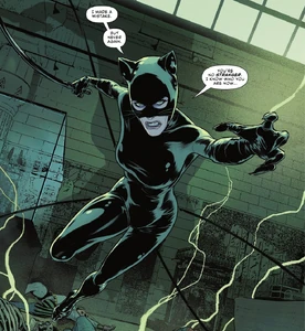 Catwoman from The New Golden Age timeline