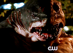 King Shark 8.gif (1.4 MB)