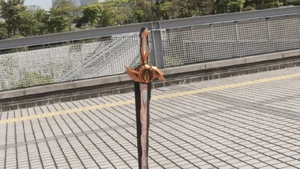 Mumeiken Kyomu is standing.jpg (272 KB)