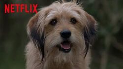 Benji 2024 movie netflix