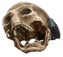 Ochi of Bestoon's skull with cybernetic head implants.