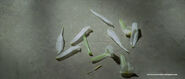 An iris Adam pulled the petals from
