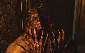 Lost Sinner Ouch.png (590 KB) The Lost Sinner grunting in pain when the bug enters the eye hole.