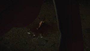 PesantaInfection.jpg (98 KB) The parasite Pesanta infected Ada with.