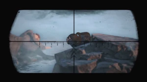 Ana's dead body after having been shot by a sniper