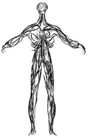 Avogadro model BOII.png (98 KB) Full body.