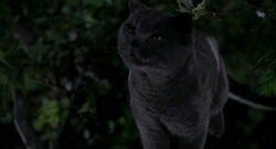 Smokey/Gallery | Villains Wiki | Fandom