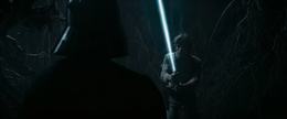 In the hollow, Skywalker had a vision in which he faced Darth Vader.