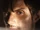 Gareth (The Walking Dead)