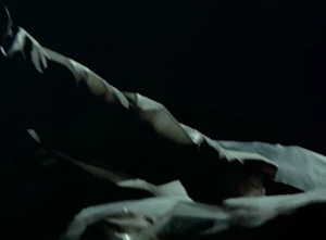 Gerald Demus Taze 2.jpg (129 KB) Repeatingly tasing Thomas.