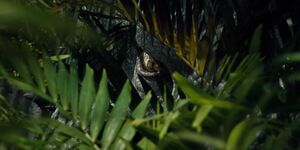 A close-up of the Indominus' eye.