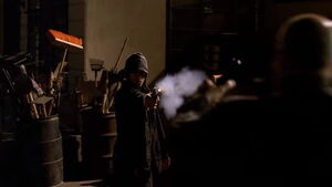 Animalcm03.jpg (44 KB) Animal shooting Rodriguez.