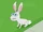 Dennis the Rabbit