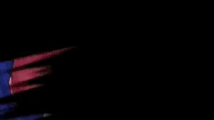 MariahStardustShooters.gif (9.1 MB)