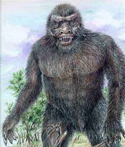 Yowie-0