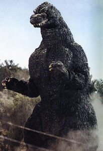 Godzilla in Godzilla vs. King Ghidorah.