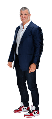 Shane mcmahon stat--6309c0847b7436222be1b4d04f1e2ed1