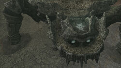 Basaran, Wiki Shadow of the Colossus