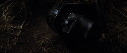 Vader's vision severed head rolls over on the ground, and the face shield cracked open to reveal the young Jedi's own countenance behind the mask.