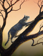 Ashfur in The Ultimate Guide