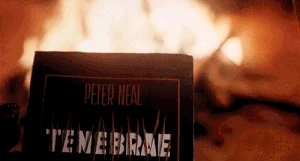 Cristiano Berti Book Fire.gif (2.55 MB) An unseen Christiano Berti reading "Tenebrae" just before throwing the book into the fire.