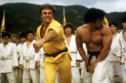 Bolo enter the dragon top