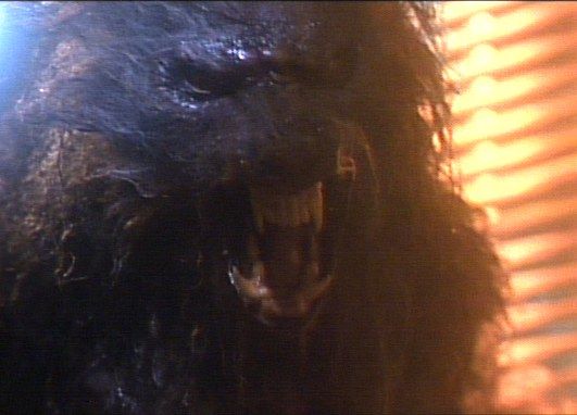 Werewolf transformation - The Howling (1981) 