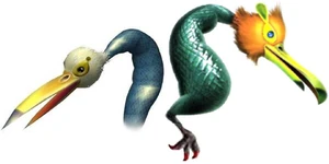 Snavians.