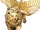 Winged Lion