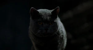 "Snowbell? Heh. Now there's a manly name."