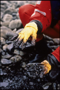 2521remains.png (627 KB) The remains of SCP-2521 and SCP-4999 after being destroyed by SCP-6500.