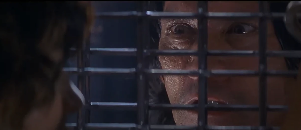 User blogThe King Peacock/PE Proposal Johnny 23 from Con Air