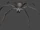 Spider (Granny)
