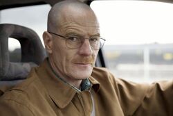 Walt bald.jpg