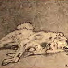 Spitz Gallery Villains Wiki Fandom