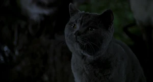 (Snowbell: Call me fickle, but I wanna call this whole thing off, OK?) "Too late!"