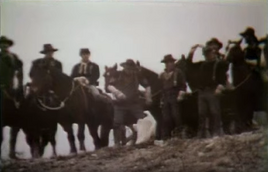 Horse Soldiers