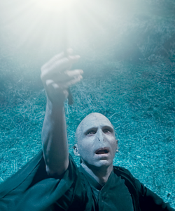 Voldemort testing the might of Elder Wand