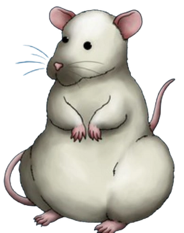 The King Rat, Nothing, Forever Wiki