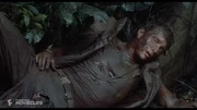 Barnes' final moments.